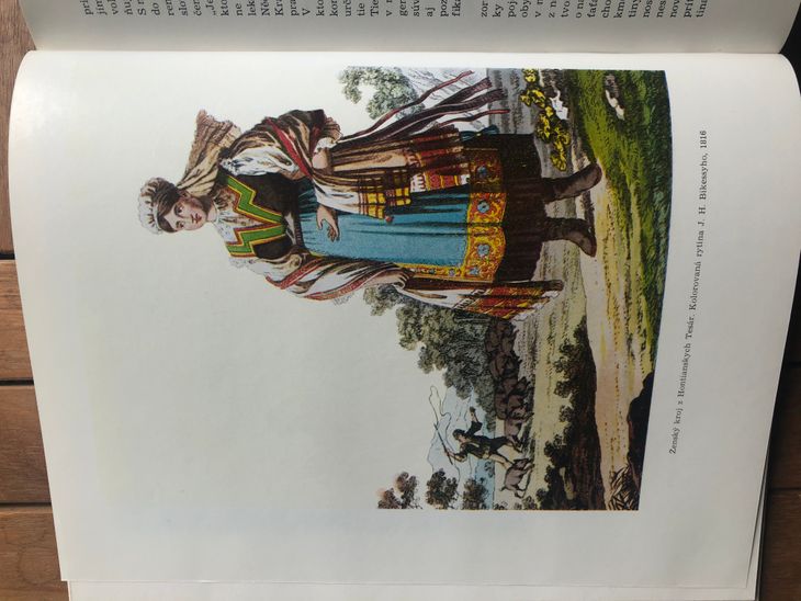 Žena v kroji, Hontianske Tesáre, okres Krupina - 5