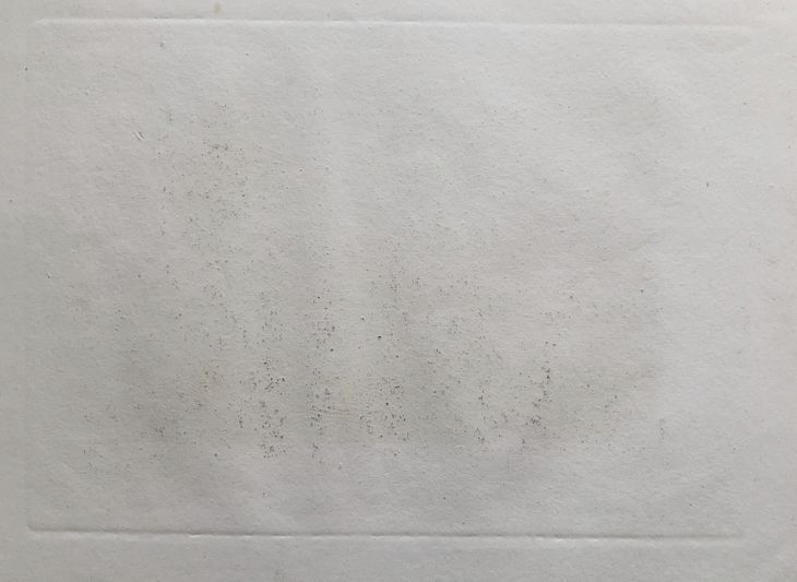 Zrúcaniny hradu Devín - 2