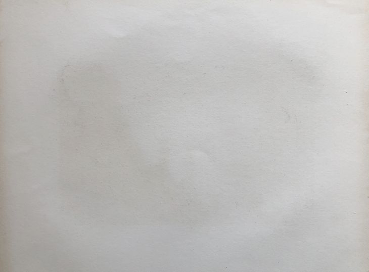 Pohľad na hrad Devín - Panenská veža - 2