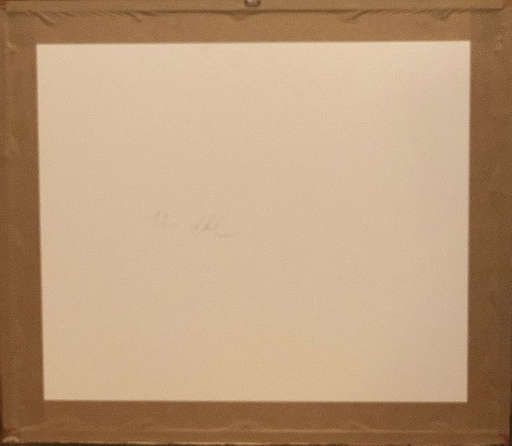 Korunovácia Leopolda II. - 2